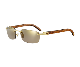 lunettes-cartier-homme-1