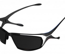 lunettes-de-soleil-parasite-1