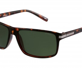 lunettes-polaroid-homme-1